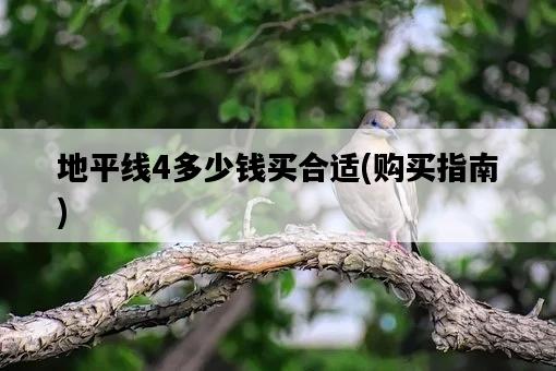 地平線4多少錢買合適，購買指南-圖1