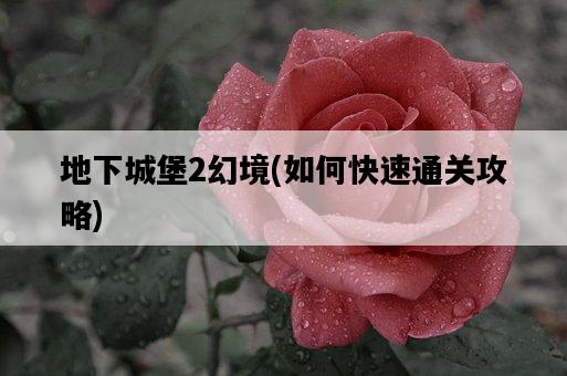 地下城堡2幻境，如何快速通關攻略-圖1