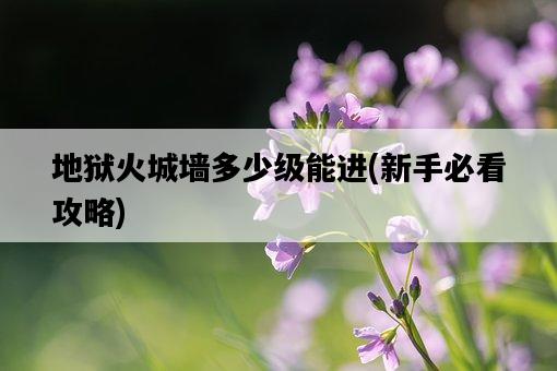 地獄火城墻多少級能進，新手必看攻略-圖1