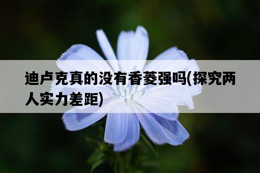 迪盧克真的沒有香菱強嗎,探究兩人實力差距-圖1 迪盧克真的沒有香菱強嗎,探究兩人實力差距-圖1