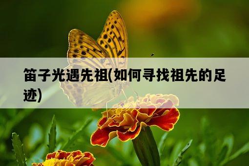 笛子光遇先祖，如何尋找祖先的足跡-圖1