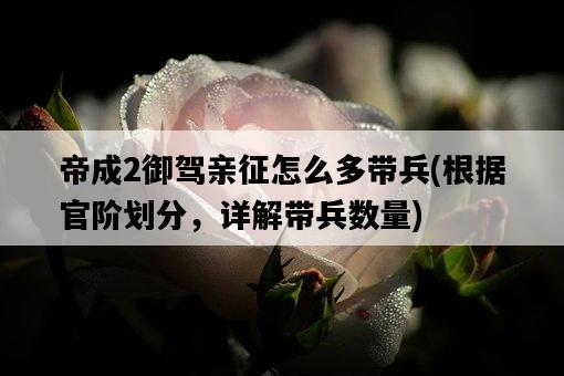 帝成2御駕親征怎么多帶兵，根據官階劃分，詳解帶兵數量-圖1