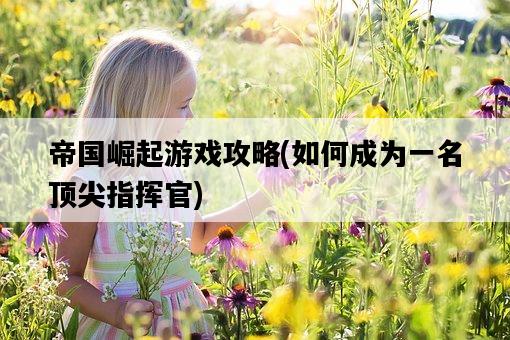 帝國崛起游戲攻略，如何成為一名頂尖指揮官-圖1