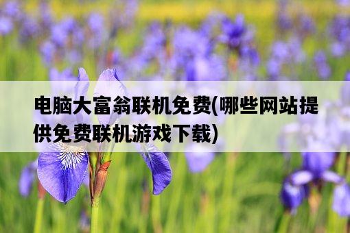 電腦大富翁聯機免費，哪些網站提供免費聯機游戲下載-圖1