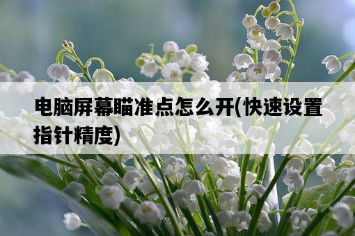 電腦屏幕瞄準點怎么開，快速設置指針精度-圖1