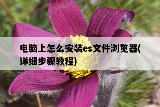 電腦上怎么安裝es文件瀏覽器，詳細步驟教程-圖1