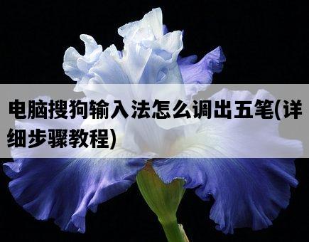 電腦搜狗輸入法怎么調出五筆，詳細步驟教程-圖1