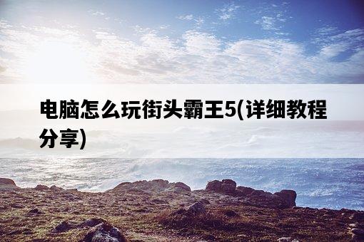 電腦怎么玩街頭霸王5，詳細教程分享-圖1