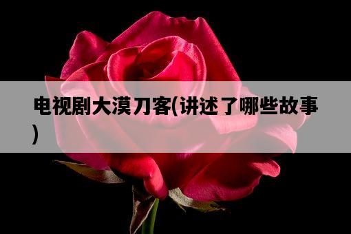 電視劇大漠刀客，講述了哪些故事-圖1