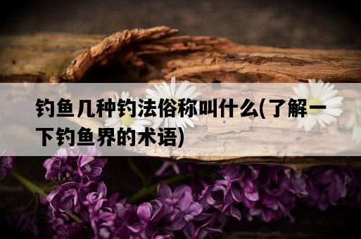 釣魚幾種釣法俗稱叫什么，了解一下釣魚界的術語-圖1