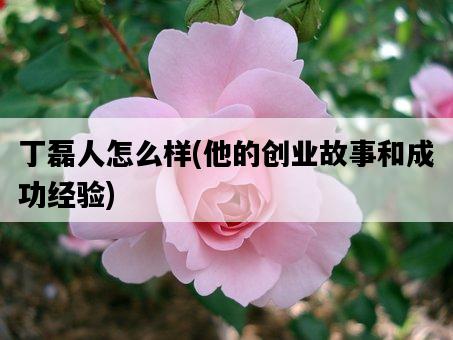 丁磊人怎么樣，他的創業故事和成功經驗-圖1