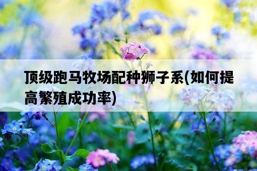 頂級跑馬牧場配種獅子系，如何提高繁殖成功率-圖1