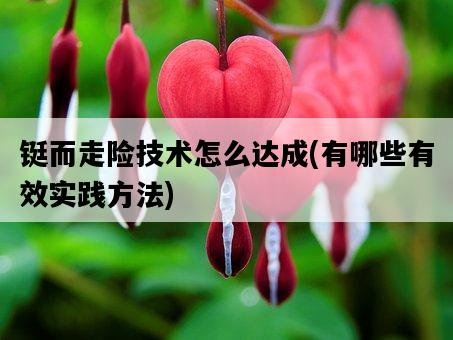 鋌而走險技術怎么達成，有哪些有效實踐方法-圖1