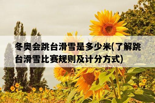 冬奧會跳臺滑雪是多少米，了解跳臺滑雪比賽規則及計分方式-圖1