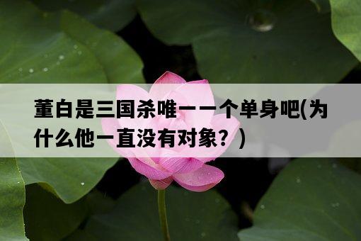 董白是三國殺唯一一個單身吧，為什么他一直沒有對象？-圖1