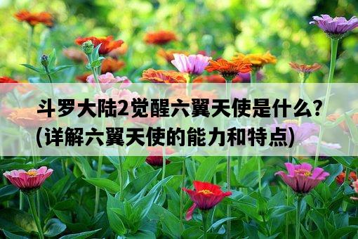 斗羅大陸2覺醒六翼天使是什么？，詳解六翼天使的能力和特點-圖1