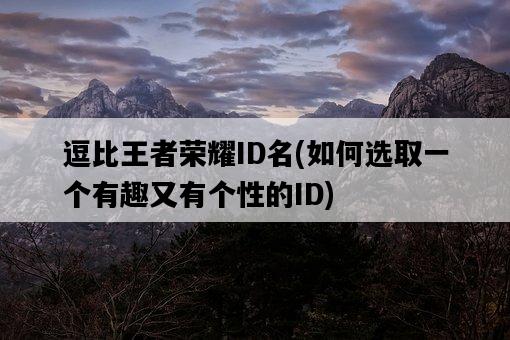 逗比王者榮耀ID名，如何選取一個有趣又有個性的ID-圖1