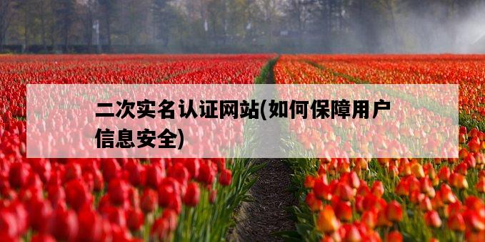 二次實名認證網站,如何保障用戶信息安全-圖1 二次實名認證網站,如何保障用戶信息安全-圖1