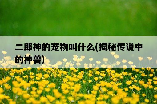 二郎神的寵物叫什么,揭秘傳說中的神獸-圖1 二郎神的寵物叫什么,揭秘傳說中的神獸-圖1