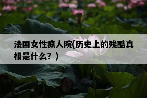 法國女性瘋人院，歷史上的殘酷真相是什么？-圖1