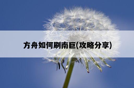 方舟如何刷南巨，攻略分享-圖1
