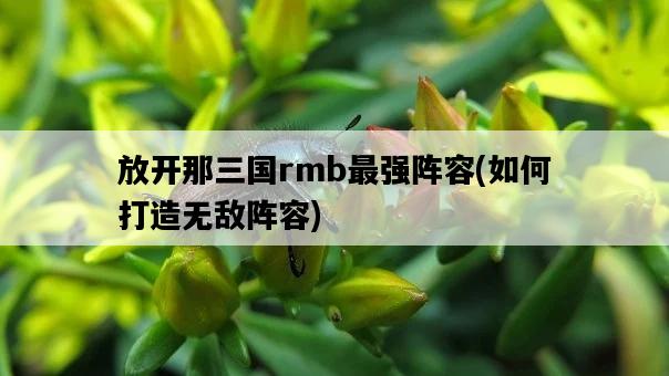 放開那三國rmb最強陣容，如何打造無敵陣容-圖1
