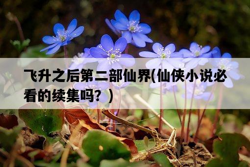 飛升之后第二部仙界，仙俠小說必看的續集嗎？-圖1