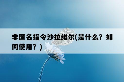 非匿名指令沙拉維爾，是什么？如何使用？-圖1