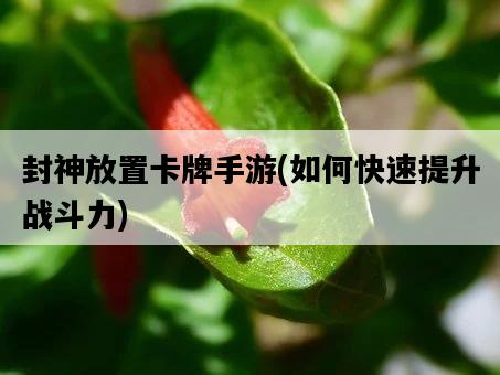 封神放置卡牌手游，如何快速提升戰斗力-圖1