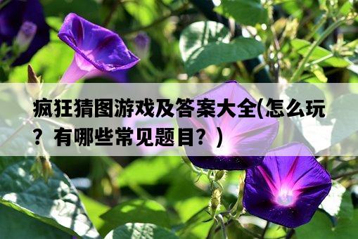 瘋狂猜圖游戲及答案大全，怎么玩？有哪些常見題目？-圖1