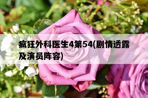瘋狂外科醫生4第54，劇情透露及演員陣容-圖1