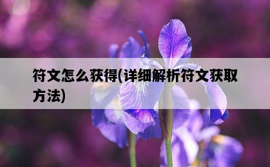 符文怎么獲得，詳細解析符文獲取方法-圖1