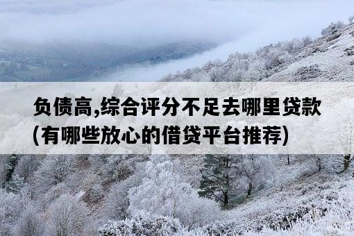 負債高,綜合評分不足去哪里貸款，有哪些放心的借貸平臺推薦-圖1