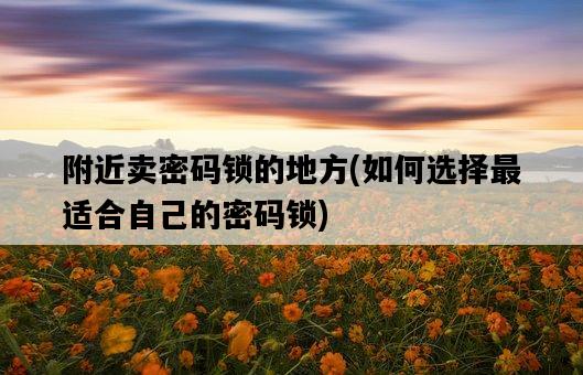 附近賣密碼鎖的地方,如何選擇最適合自己的密碼鎖-圖1 附近賣密碼鎖的地方,如何選擇最適合自己的密碼鎖-圖1