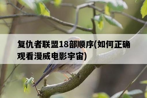 復仇者聯盟18部順序，如何正確觀看漫威電影宇宙-圖1