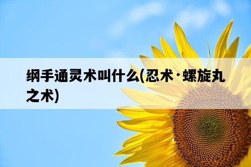 綱手通靈術叫什么，忍術·螺旋丸之術-圖1