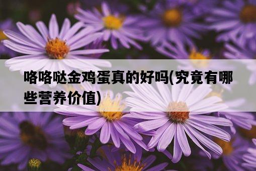 咯咯噠金雞蛋真的好嗎,究竟有哪些營養價值-圖1 咯咯噠金雞蛋真的好嗎,究竟有哪些營養價值-圖1