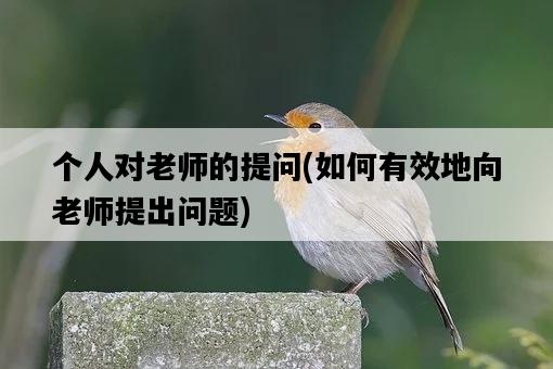 個人對老師的提問，如何有效地向老師提出問題-圖1