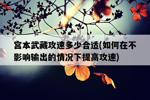 宮本武藏攻速多少合適，如何在不影響輸出的情況下提高攻速-圖1