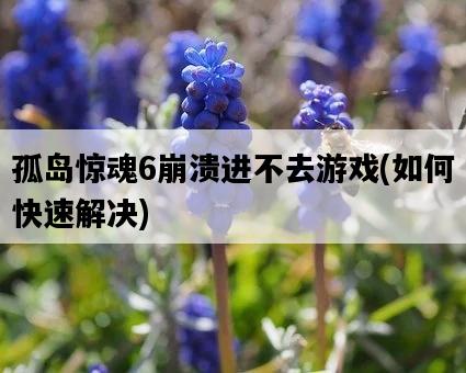 孤島驚魂6崩潰進不去游戲，如何快速解決-圖1