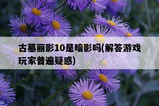 古墓麗影10是暗影嗎,解答游戲玩家普遍疑惑-圖1 古墓麗影10是暗影嗎,解答游戲玩家普遍疑惑-圖1