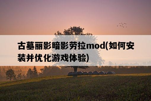 古墓麗影暗影勞拉mod，如何安裝并優化游戲體驗-圖1