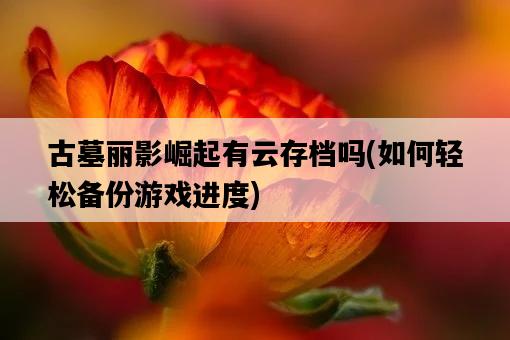 古墓麗影崛起有云存檔嗎，如何輕松備份游戲進度-圖1