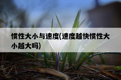 慣性大小與速度,速度越快慣性大小越大嗎-圖1 慣性大小與速度,速度越快慣性大小越大嗎-圖1