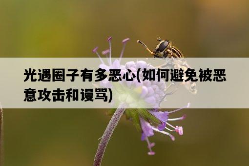 光遇圈子有多惡心，如何避免被惡意攻擊和謾罵-圖1