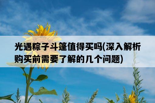 光遇粽子斗篷值得買嗎,深入解析購買前需要了解的幾個問題-圖1 光遇粽子斗篷值得買嗎,深入解析購買前需要了解的幾個問題-圖1