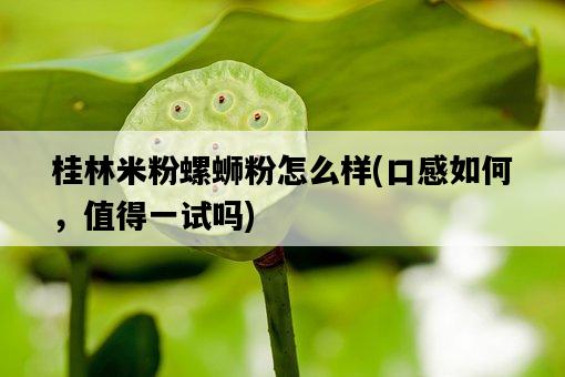 桂林米粉螺螄粉怎么樣，口感如何，值得一試嗎-圖1