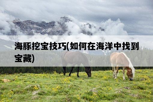 海豚挖寶技巧，如何在海洋中找到寶藏-圖1