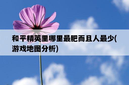 和平精英里哪里最肥而且人最少，游戲地圖分析-圖1