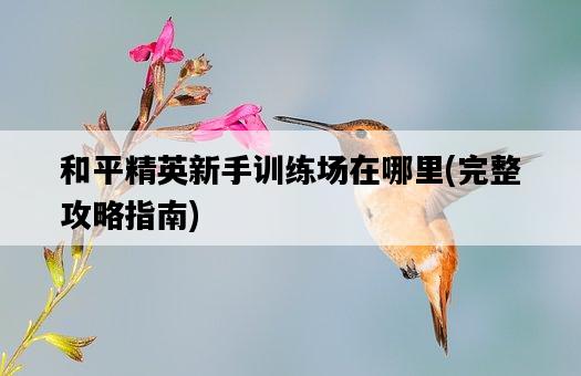 和平精英新手訓練場在哪里，完整攻略指南-圖1